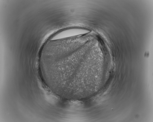 X0000091450583200709061737