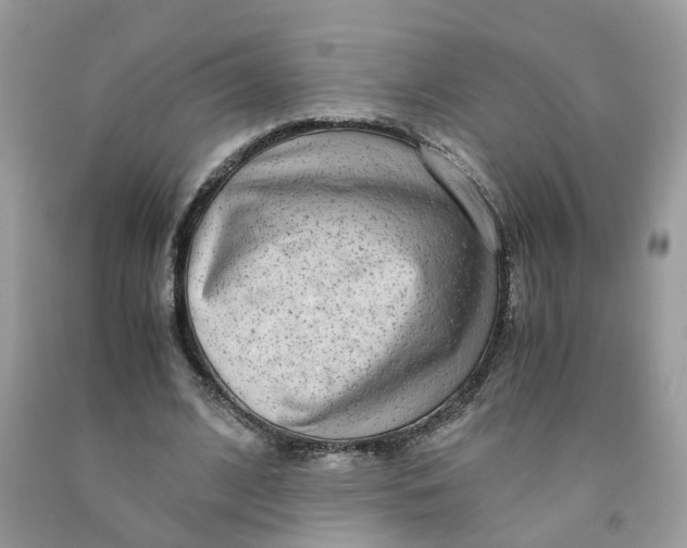 X0000091450584200709061737