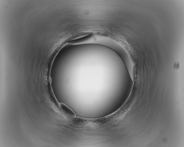 X0000091450585200709061736