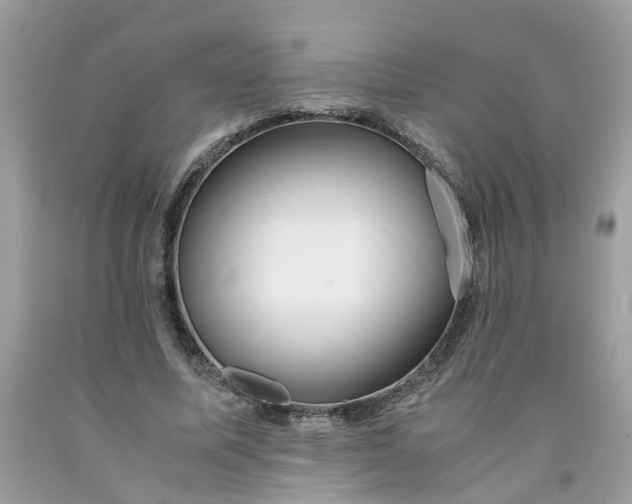 X0000091450587200709061736