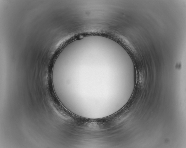 X0000091450588200709061736