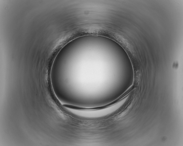 X0000091450589200709061736