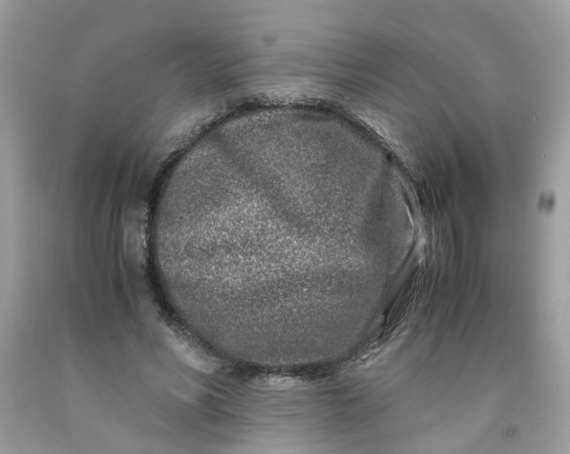 X0000091450590200709061736