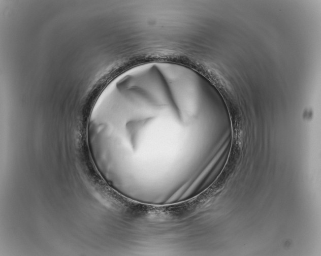 X0000091450591200709061736