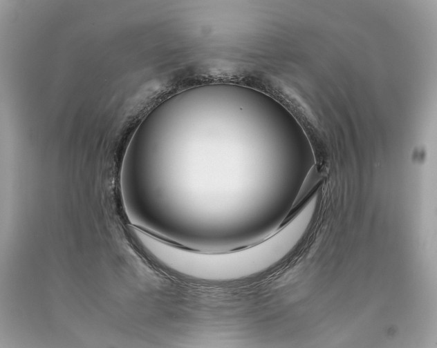 X0000091450593200709061736