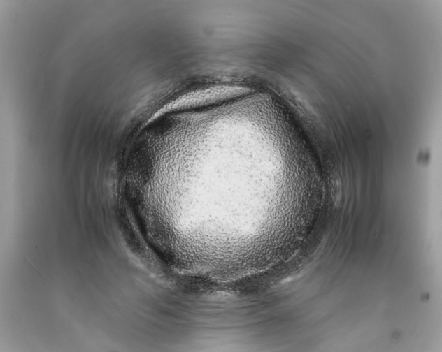 X0000091450594200709061736