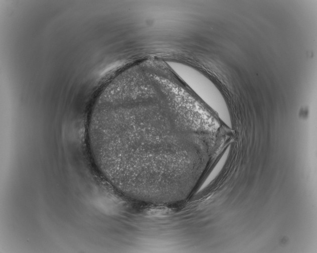 X0000091450595200709061736