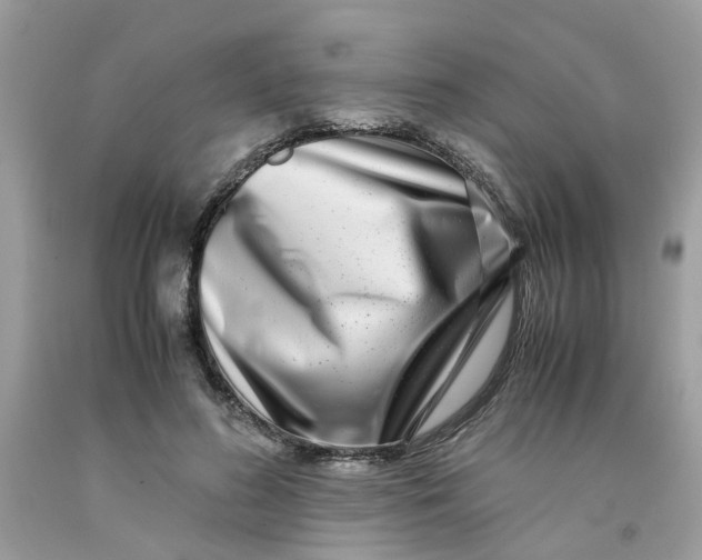 X0000091450596200709061736