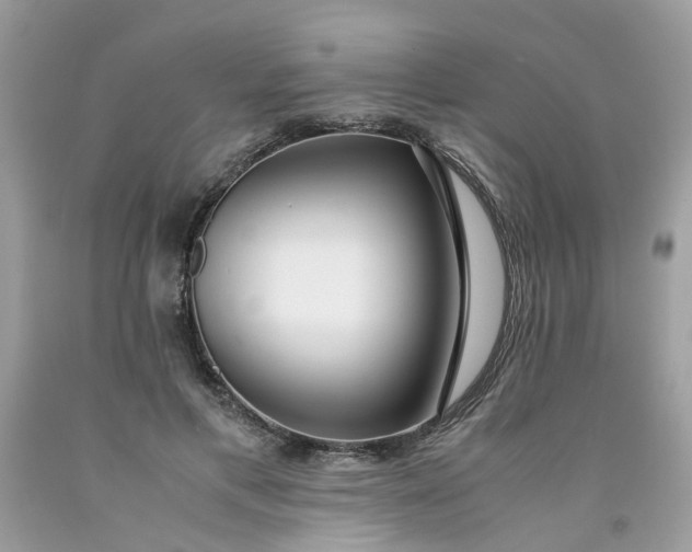 X0000091450597200709061736