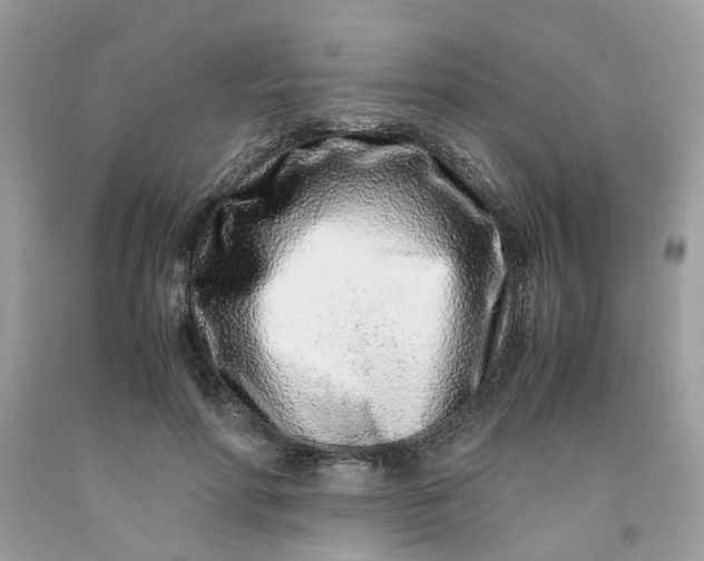 X0000091450598200709061736