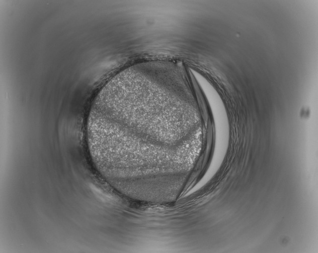 X0000091450599200709061736