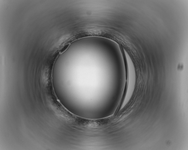 X0000091450600200709061736