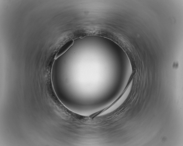 X0000091450601200709061736