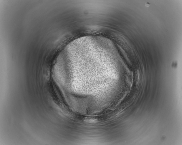 X0000091450602200709061736