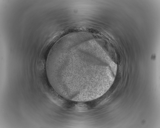 X0000091450603200709061736