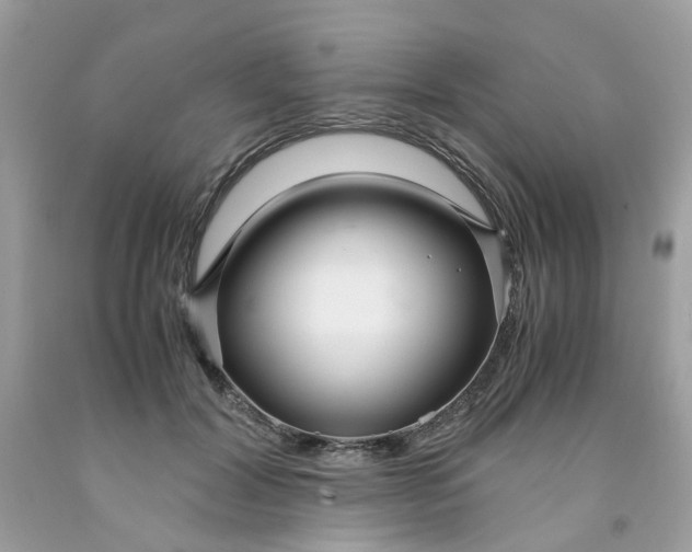 X0000091450604200709061736