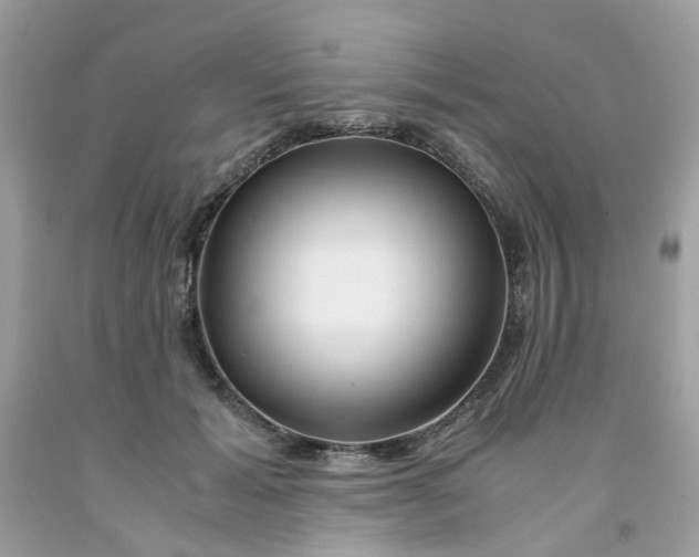 X0000091450605200709061736