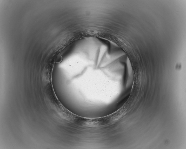 X0000091450606200709061736