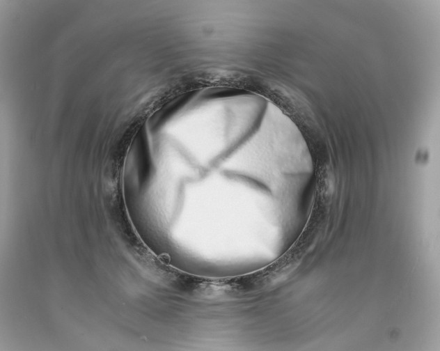 X0000091450607200709061736