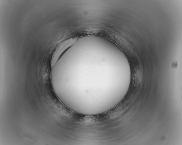 X0000091450608200709061736