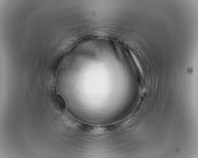 X0000091450609200709061736