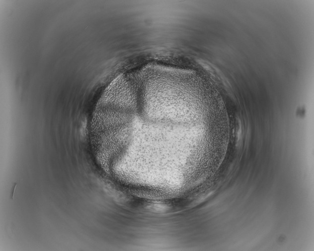 X0000091450610200709061736