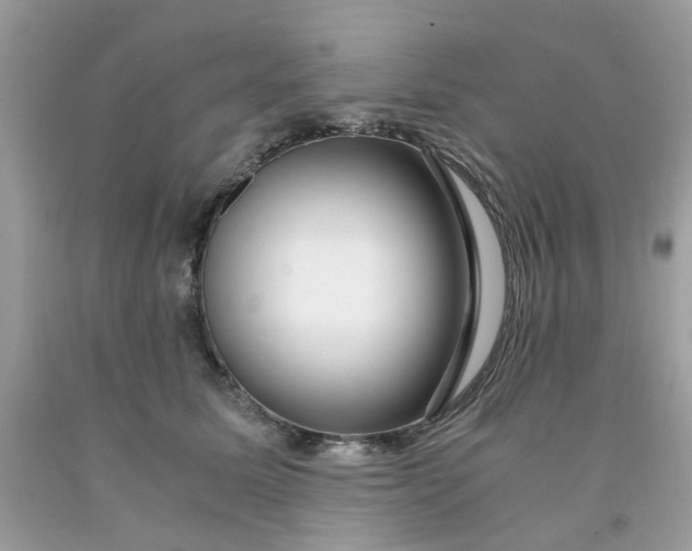 X0000091450611200709061736