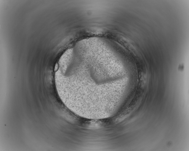 X0000091450612200709061736