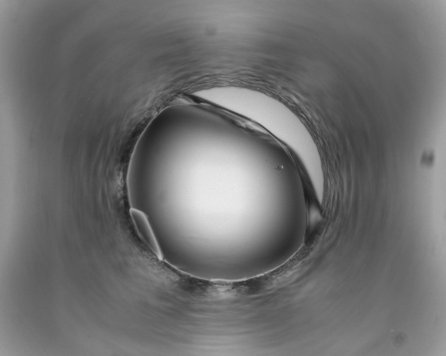 X0000091450613200709061736