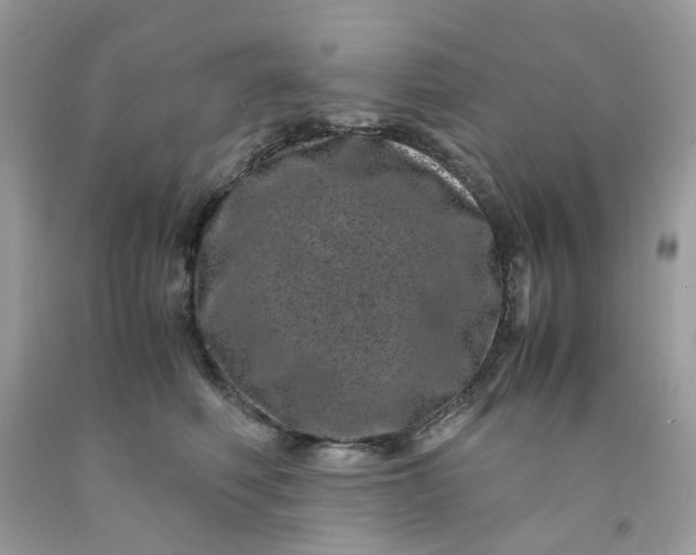 X0000091450614200709061736