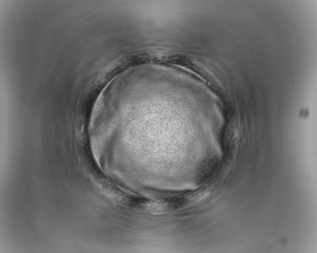 X0000091450615200709061736