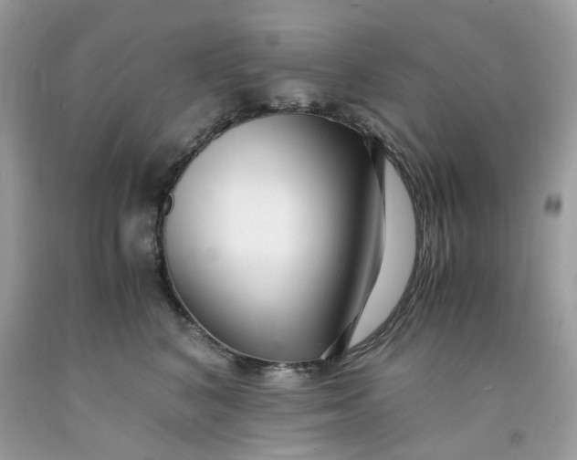 X0000091450616200709061736