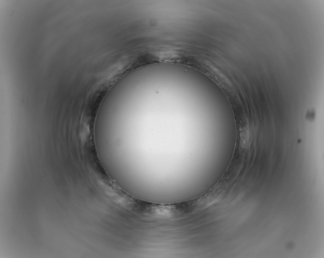 X0000091450618200709061736