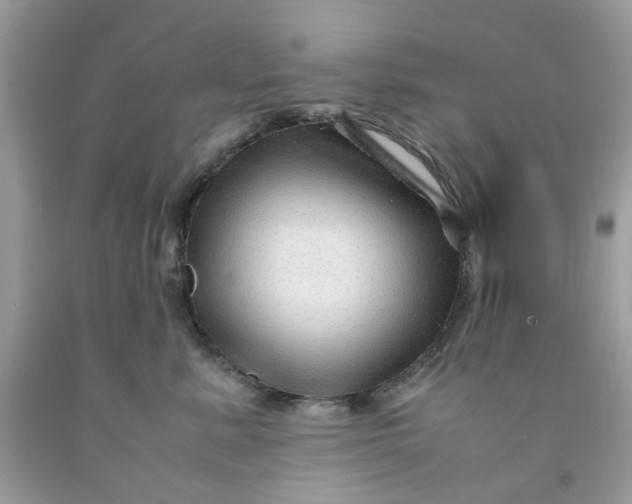 X0000091450619200709061736