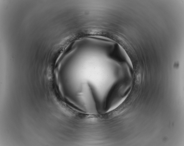 X0000091450620200709061736