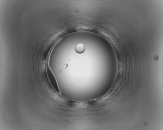 X0000091450621200709061736