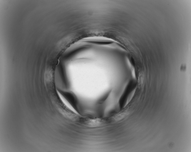 X0000091450623200709061736