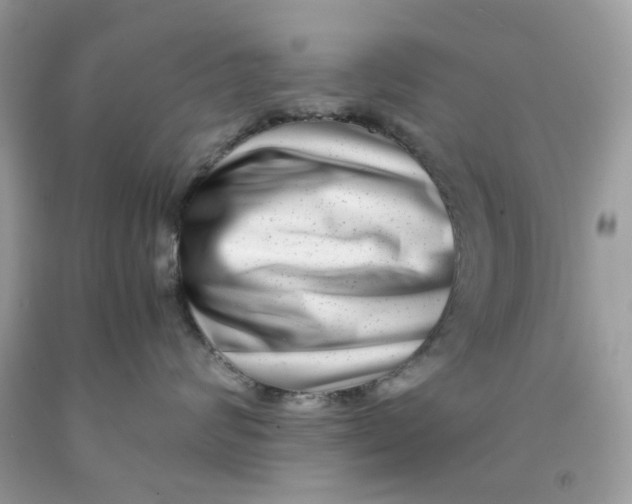 X0000091450624200709061736