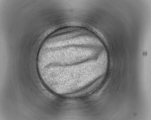 X0000091450625200709061735