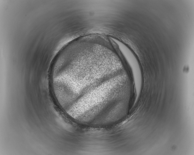 X0000091450626200709061735