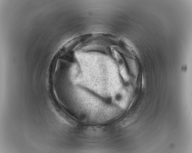 X0000091450627200709061735