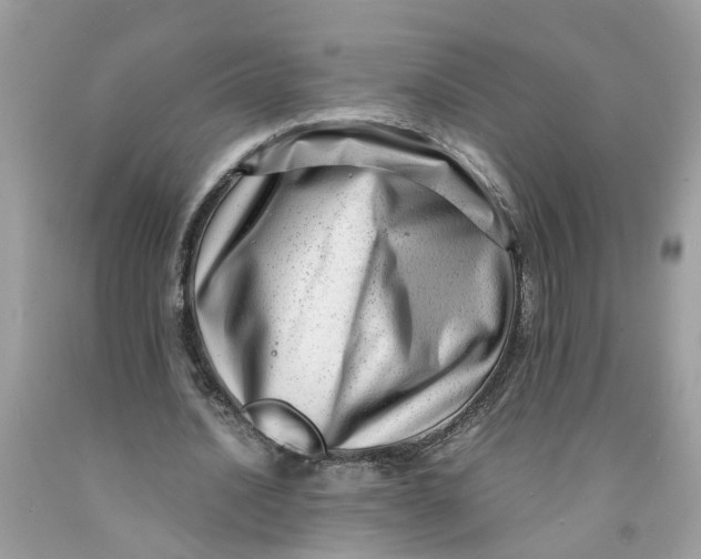 X0000091450628200709061735