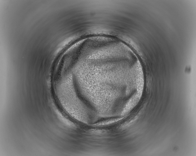 X0000091450629200709061735