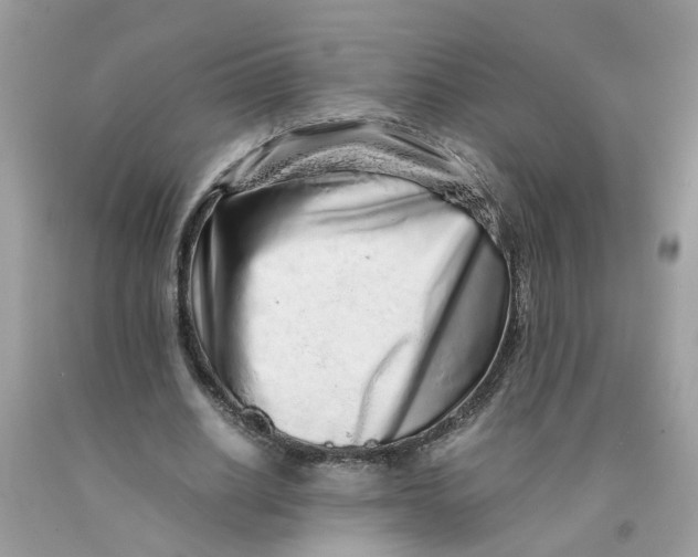 X0000091450630200709061735