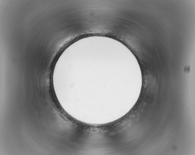 X0000091450632200709061736