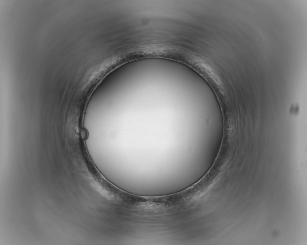 X0000091450633200709061736