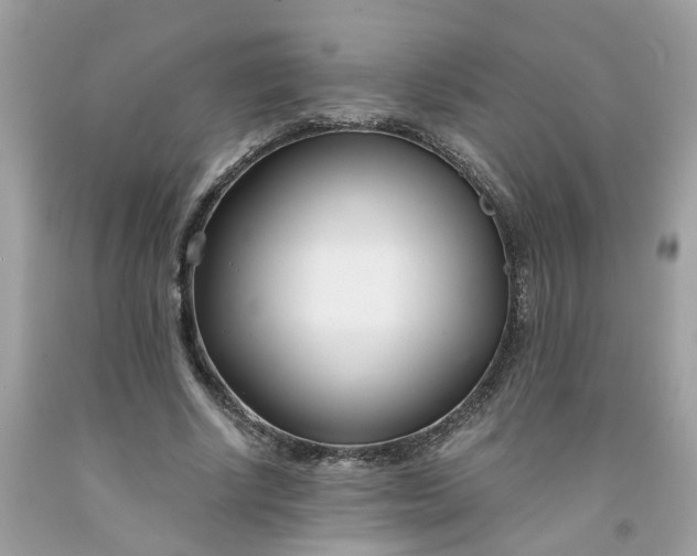 X0000091450634200709061736