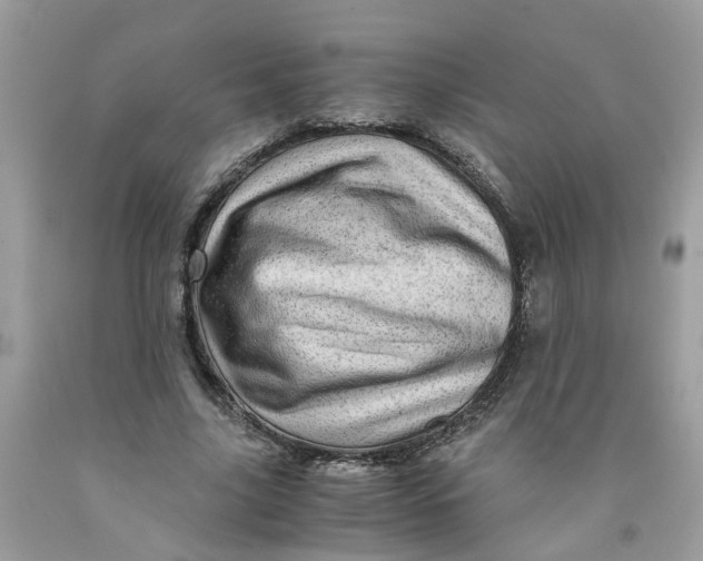 X0000091450635200709061736