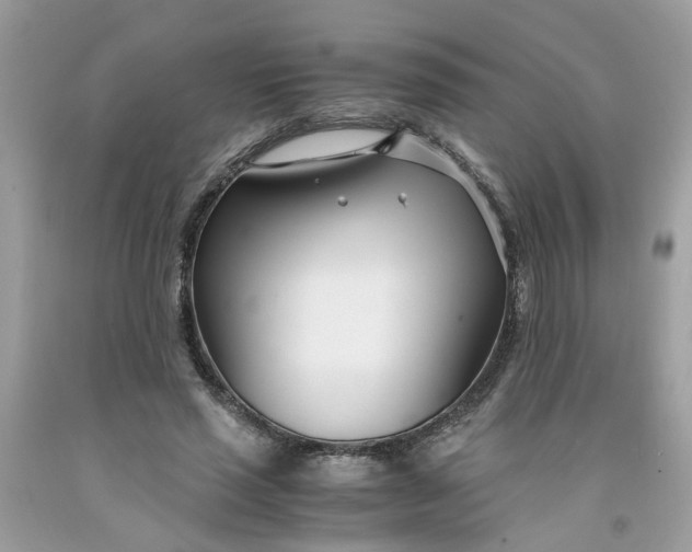 X0000091450637200709061736