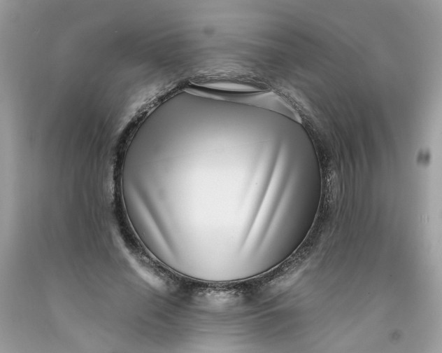 X0000091450638200709061736